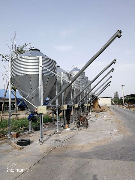 畜牧業(yè)養(yǎng)殖戶選擇料塔料線的四點(diǎn)原因！